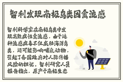 热门爆料黑料不打烊最新